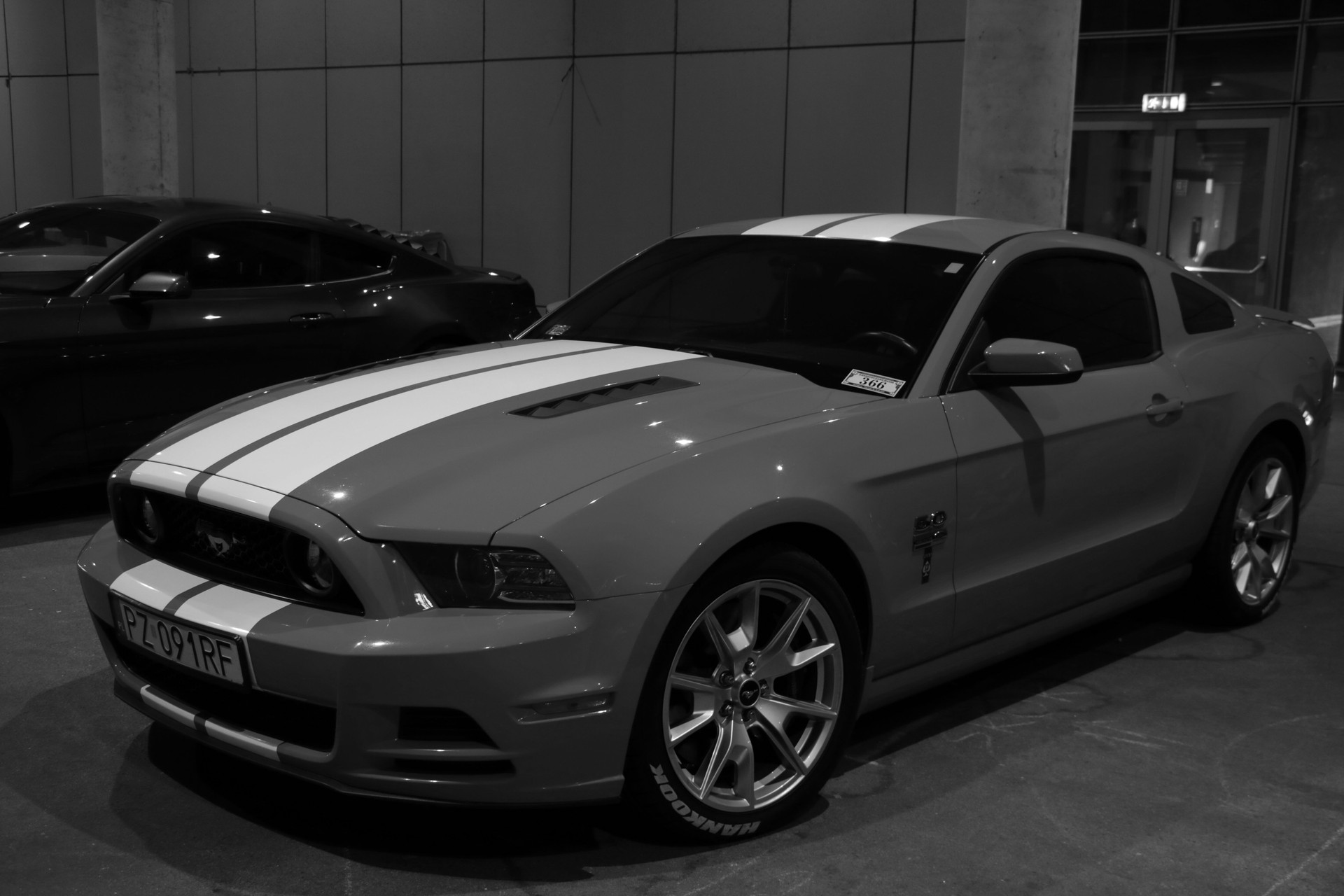 black and white photo, beautiful and powerful car Ford Mustang.